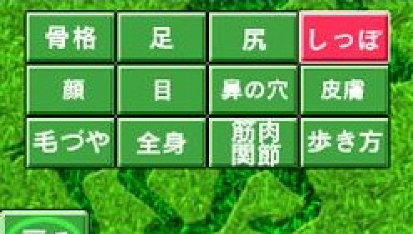 《赛马领航员 赛马支援》 日版NDS版 游戏截图 3